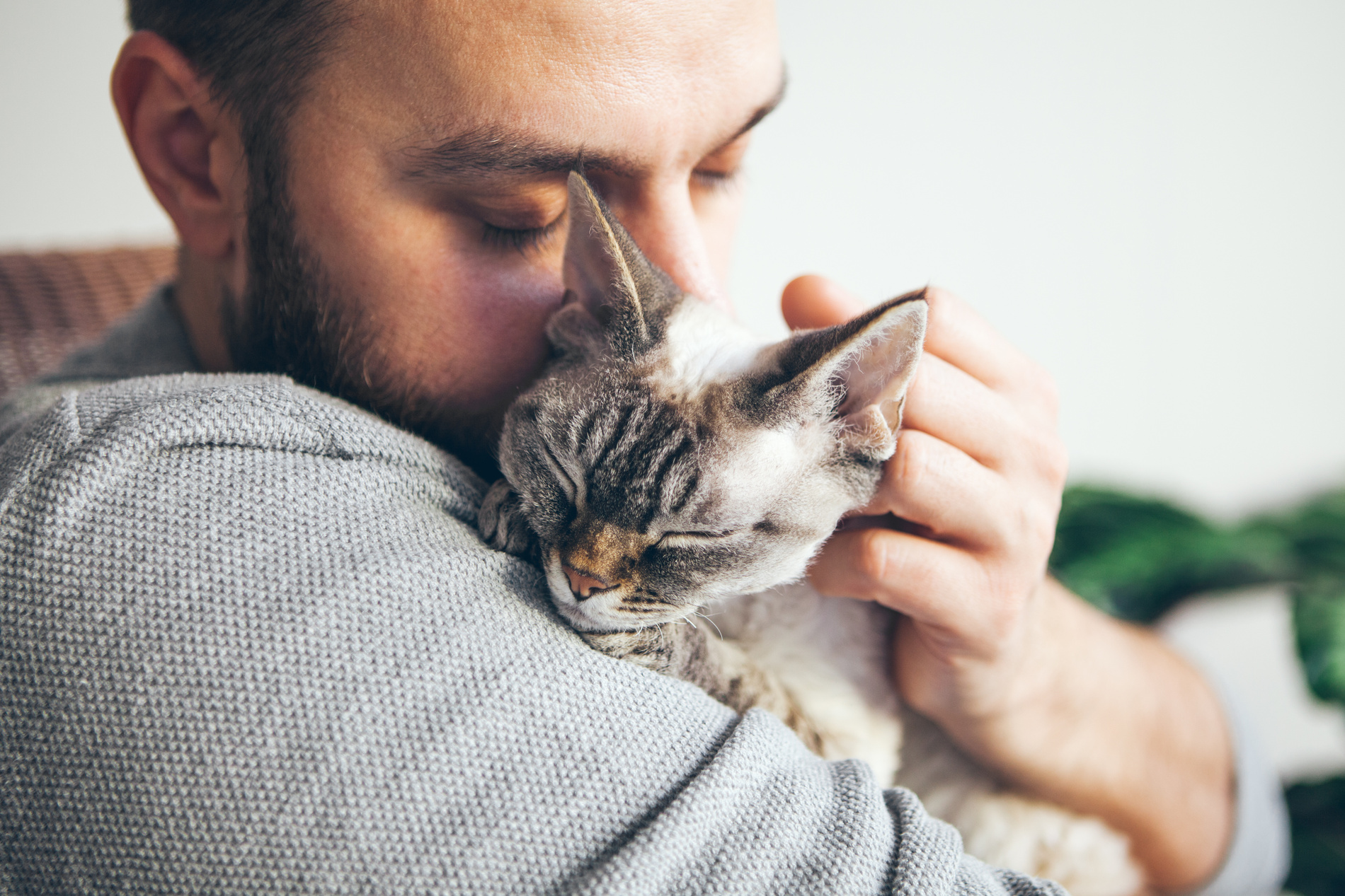 Man and his cat hug  after a preventive pet appointment in Nashville