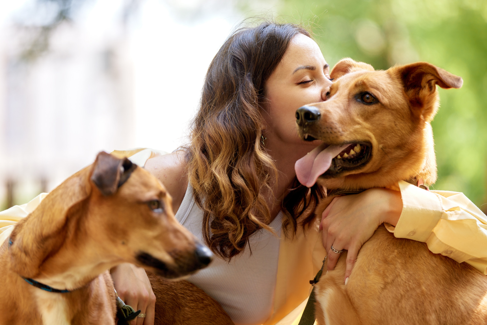 Woman hugs her dogs on their way into pet surgery at Ailtura Veterinary Care